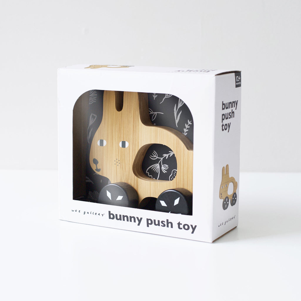 Bunny Push Toy