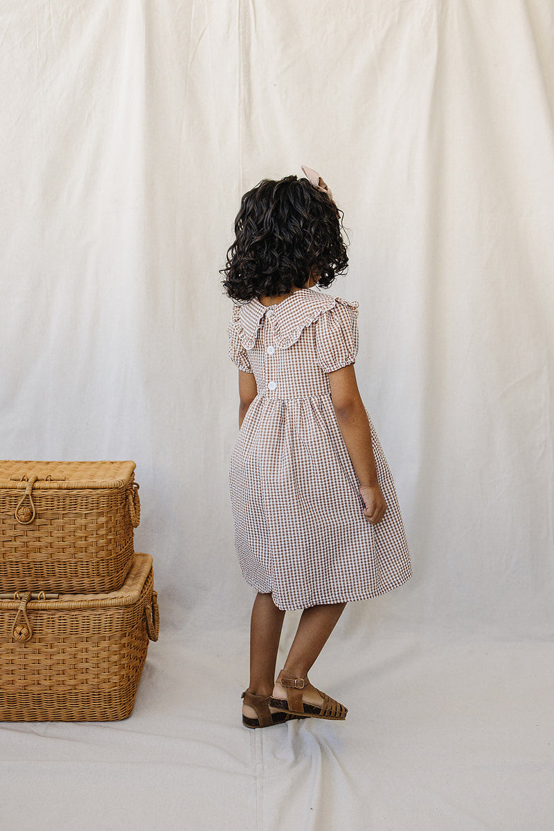 Gingham Peter Pan Collar Dress