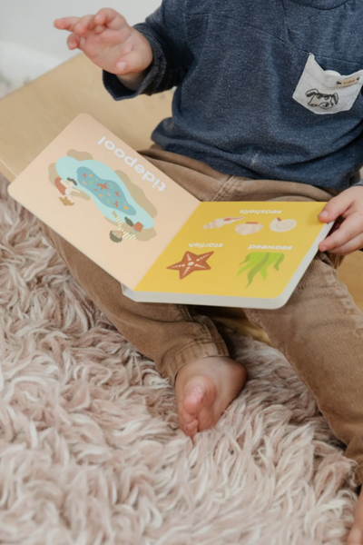 BEACH BABY BOOK